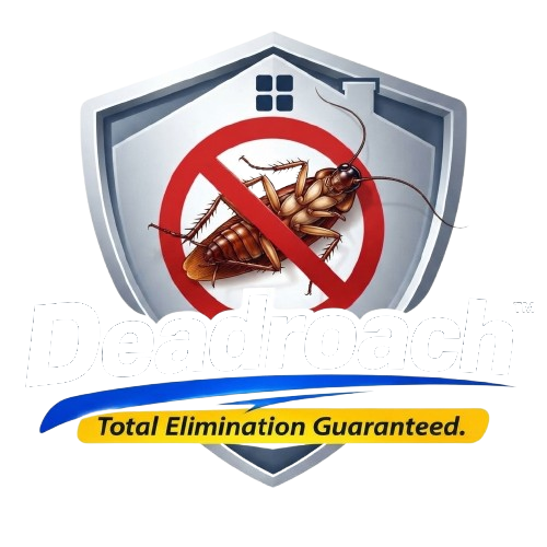 Deadroach